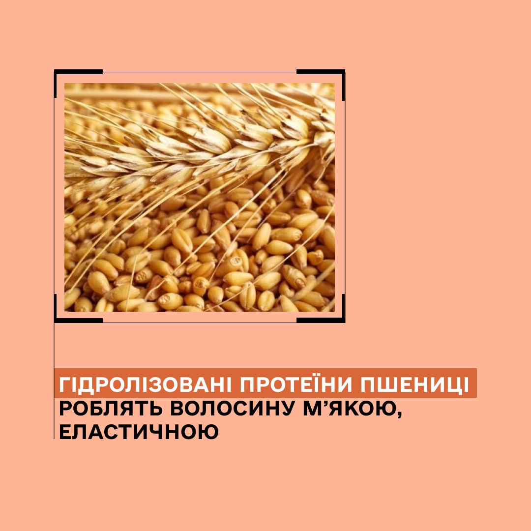 Шампунь для сухого і пошкодженого волосся Y1.1 Sinergy 1000 мл